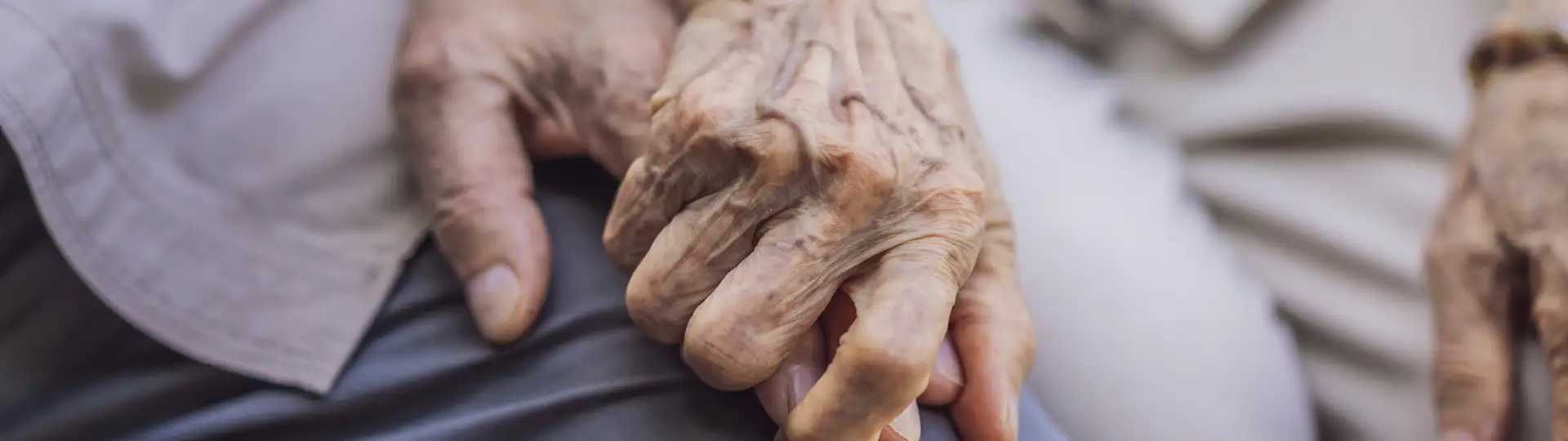 BANNER, LONG FORMAT Elderly couple holding hands with love. Hand of an elderly woman holding the hand of an elderly man